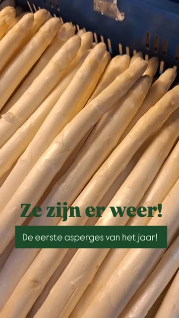 Eerste asperges
